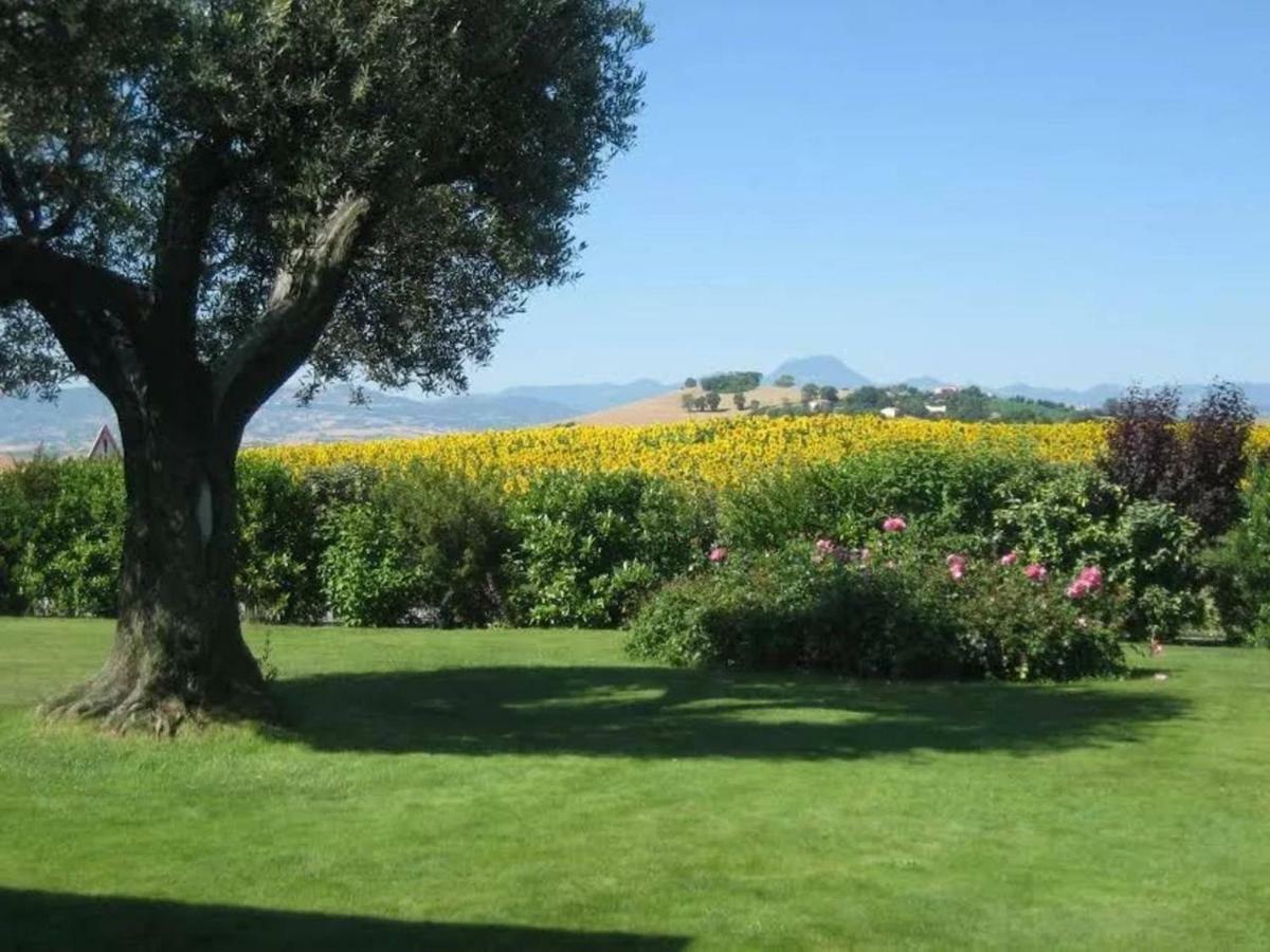 Il Giardino Delle Rose Bed & Breakfast Santa Maria Nuova  Exterior photo
