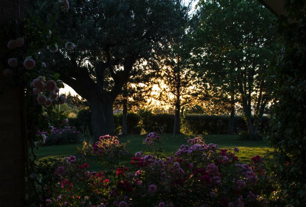 Il Giardino Delle Rose Bed & Breakfast Santa Maria Nuova  Exterior photo